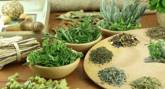 Hoàn thiện cơ chế, chính sách – nền tảng phát triển vùng nguyên liệu, hướng đi tất yếu cho ngành dược Việt Nam bền vững- Ảnh 1.