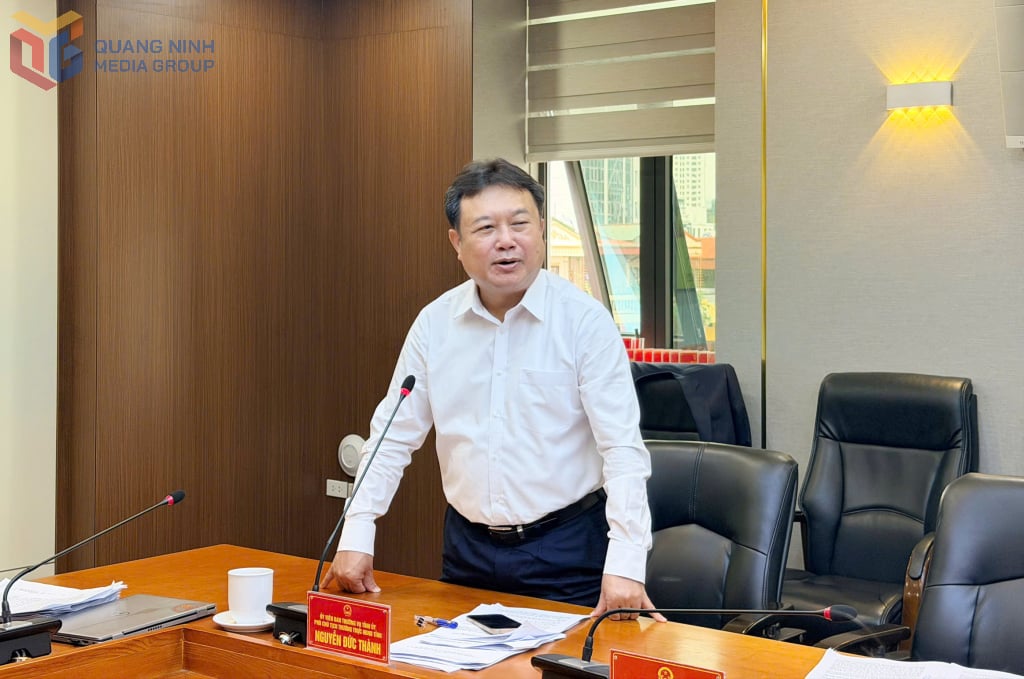 Đồng chí Nguyễn Đức Thành, Uỷ viên Ban Thường vụ Tỉnh uỷ, Phó Chủ tịch Thường trực HĐND tỉnh phát biểu tại cuộc họp.