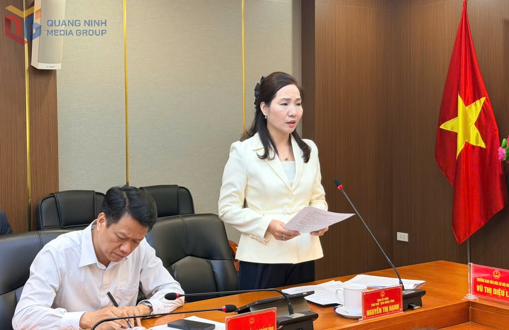 Đồng chí Nguyễn Thị Hạnh, Phó Chủ tịch UBND tỉnh phát biểu tại cuộc họp.