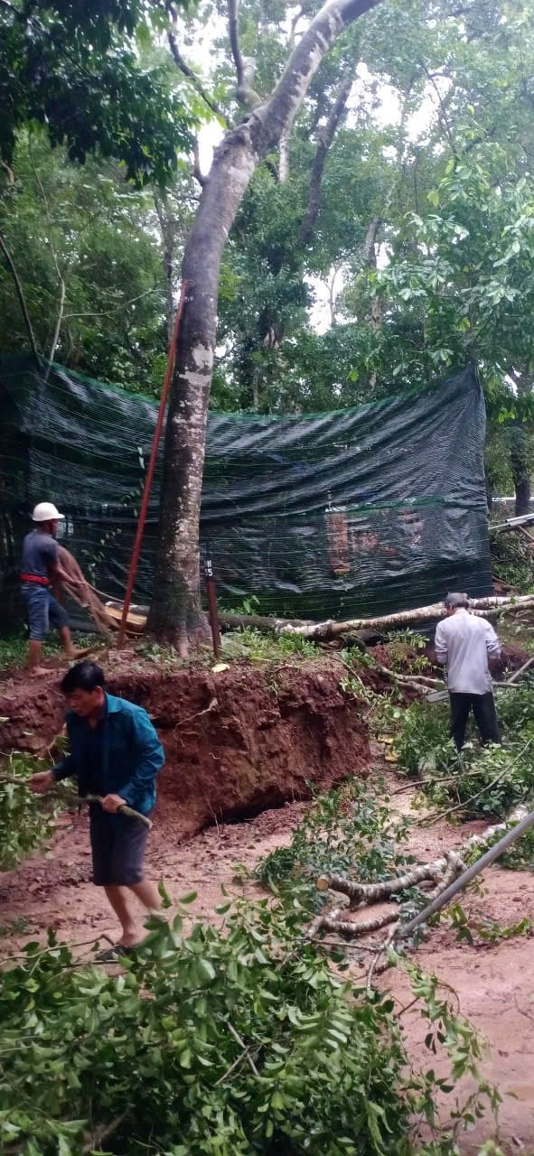 Semak dan nilai status tapak warisan Hoi An dan My Son selepas hujan dan banjir - foto 2