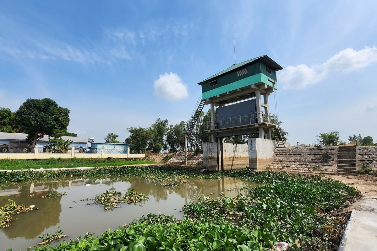 मेकांग डेल्टा में सिंचाई प्रणाली में प्रभावी कृषि उत्पादन के लिए अपेक्षाकृत समकालिक रूप से निवेश किया गया है। फोटो: किम आन्ह। Hệ thống thủy lợi ở ĐBSCL được đầu tư tương đối đồng bộ phục vụ hiệu quả sản xuất nông nghiệp. Ảnh: Kim Anh.