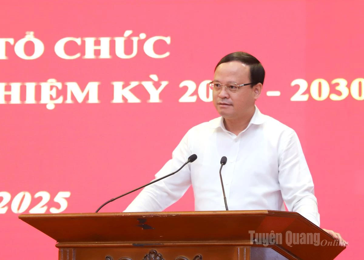 El vicepresidente permanente del Comité Popular Provincial, Nguyen Manh Tuan, intervino en la conferencia.