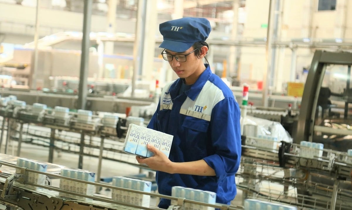 Kemasukan perusahaan besar seperti Kumpulan TH adalah kemuncak sektor pertanian Nghe An. Foto: Viet Khanh. Sự nhập cuộc của các doanh nghiệp lớn như Tập đoàn TH là điểm nhấn của ngành nông nghiệp Nghệ An. Ảnh: Việt Khánh.