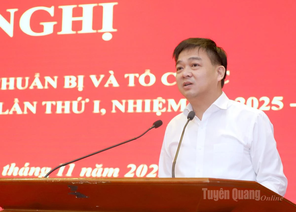 El presidente de la Comisión de Inspección del Comité Provincial del Partido, Nguyen Hung Vuong, intervino en la conferencia.