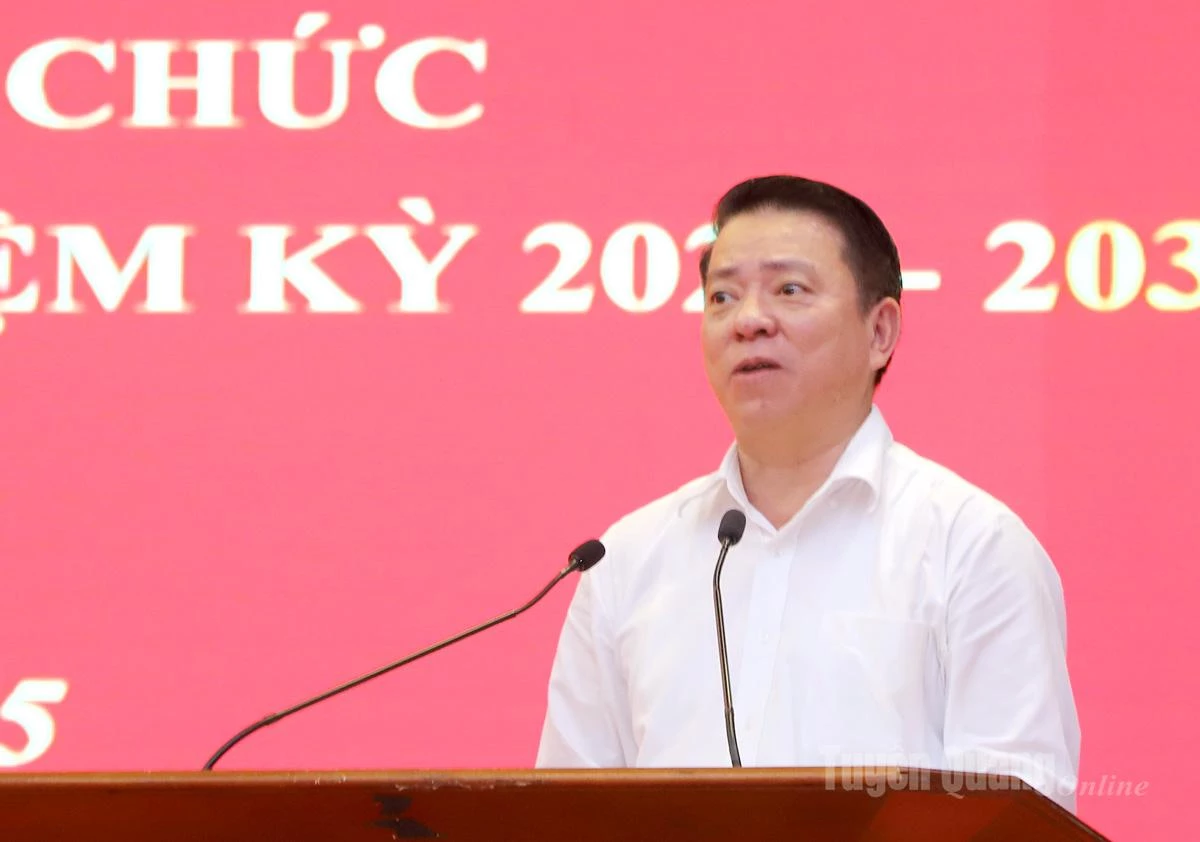 Tran Manh Loi, jefe de la Comisión de Propaganda y Movilización de Masas del Comité Provincial del Partido, intervino en la conferencia.