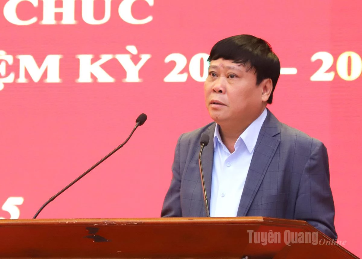 El director del periódico y la radio provinciales, Mai Duc Thong, intervino en la conferencia.