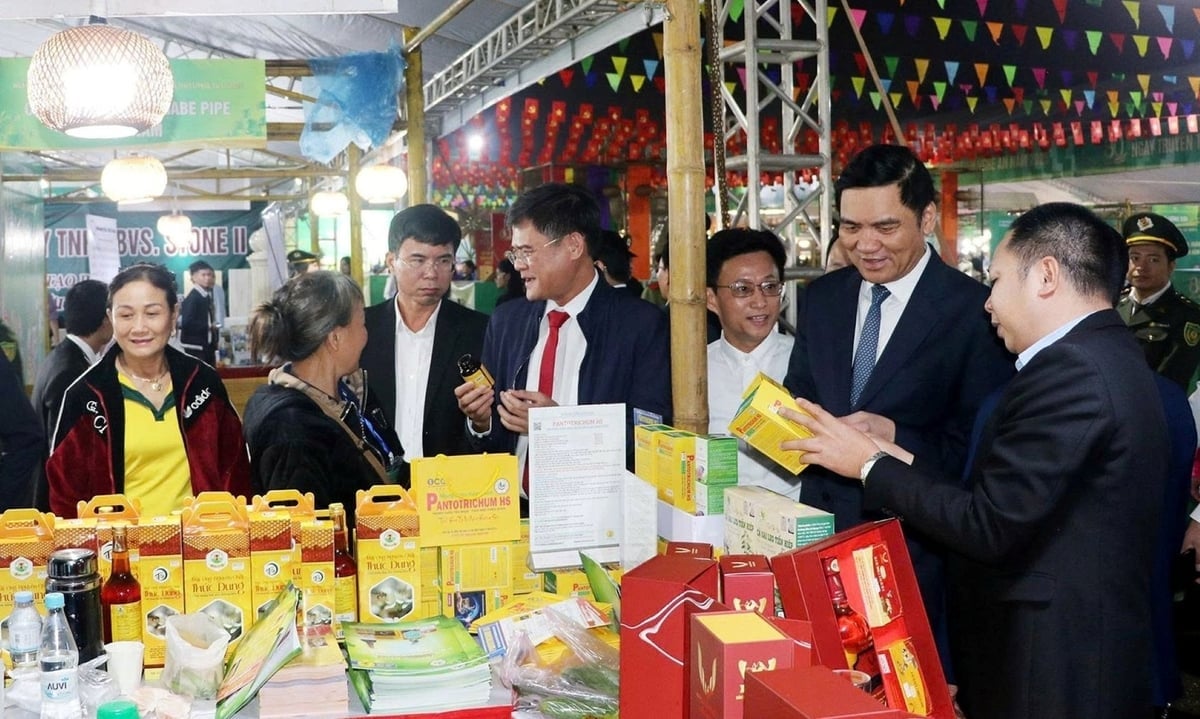 Это также возможность сотрудничества и расширения сельскохозяйственного рынка. Фото: Фан Куинь. Đây cũng là dịp để hợp tác, mở rộng thị trường nông sản. Ảnh: Phan Quỳnh.