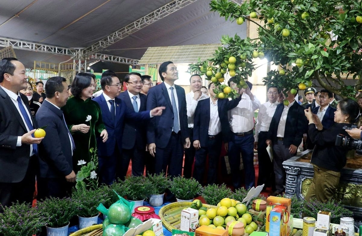 Сельскохозяйственная компания Нге Ан постепенно укрепляет свои позиции. Фото: Фан Куинь. Nông nghiệp Nghệ An đang từng bước khẳng định giá trị thương hiệu. Ảnh: Phan Quỳnh.