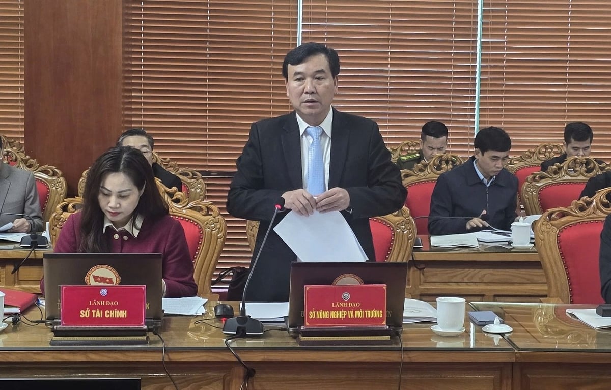 Giám đốc Sở NN-MT Lạng Sơn Nguyễn Hữu Chiến kiến nghị các vướng mắc lĩnh vực NN-MT trong quá trình thực hiện mô hình chính quyền địa phương 2 cấp tại tỉnh Lạng Sơn. Ảnh: Hoàng Nghĩa.