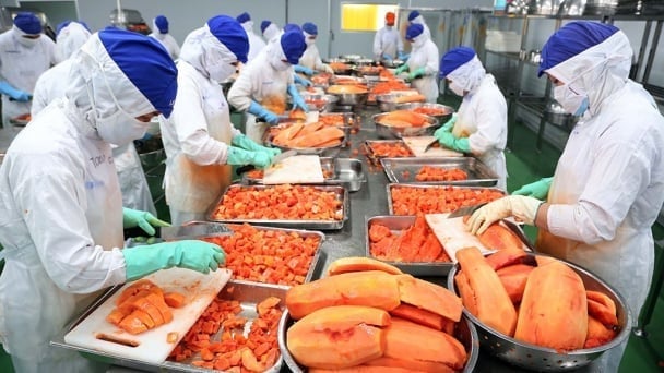 Vietnamské zemědělské produkty jsou nyní přítomny ve více než 180 zemích a teritoriích, což potvrzuje pozici dynamického a hluboce integrovaného zemědělství. Foto: QL. Hàng nông sản Việt Nam hiện đã có mặt tại hơn 180 quốc gia và vùng lãnh thổ, khẳng định vị thế của một nền nông nghiệp năng động, hội nhập sâu rộng. Ảnh: QL.