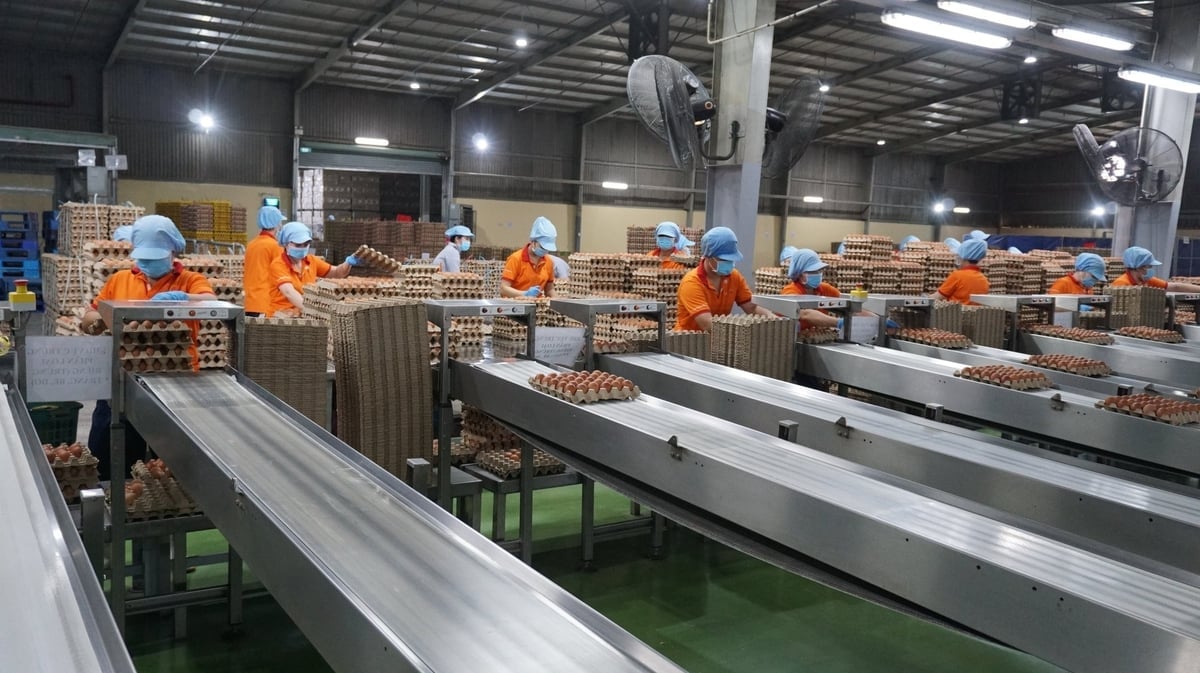 Vietnams boskapsindustri ställs starkt in på högteknologisk nivå och minskade utsläpp. Ngành chăn nuôi Việt Nam đang chuyển mạnh sang hướng công nghệ cao, giảm phát thải.