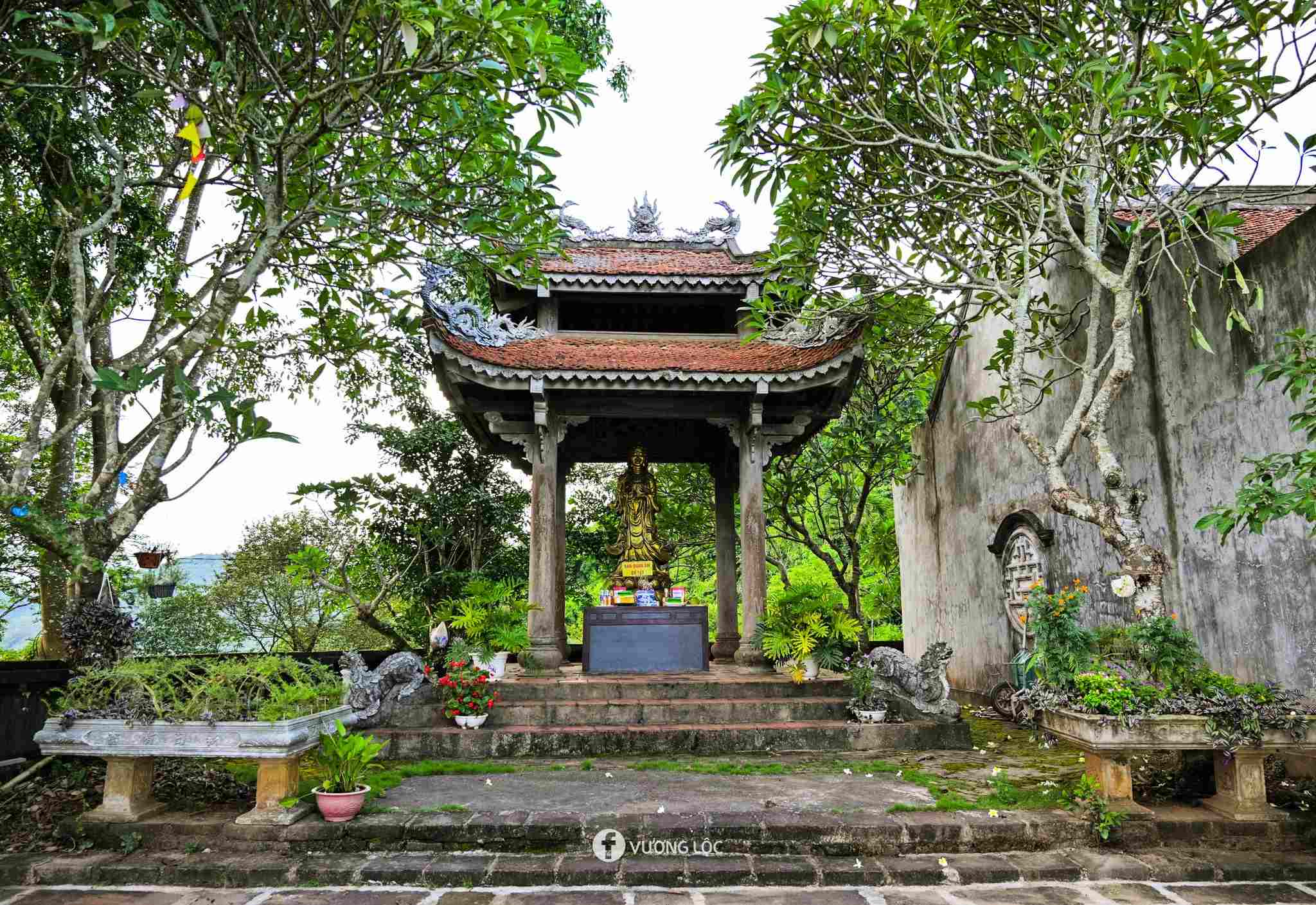 ກ່ຽວກັບໄທ ຫງວຽນໄປຢ້ຽມຢາມທະເລ Nui Coc