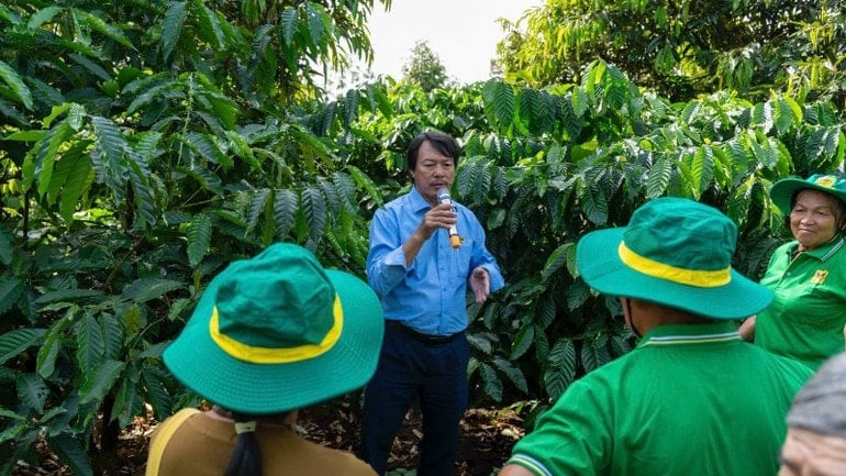 ビンディエン肥料株式会社の製品研究開発部長、ファム・アン・クオン博士は、ダウ・トラウ乾期コーヒーノキ、ダウ・トラウ成長コーヒーノキ、ダウ・トラウ堅果コーヒーノキに特化したNPK肥料配合の施用モデルの有効性について農家に説明しました。 z7183523406711-19513b496700dada1e190f83ca93fef4-9636.jpg