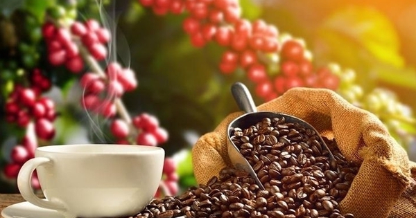 THỊ TRƯỜNG HÀNG HÓA: Khủng hoảng kép trên toàn thị trường cà phê