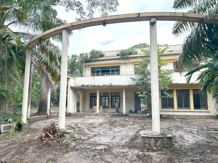 COVID -19 - Ảnh 1.