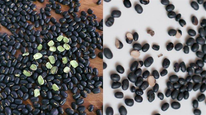 Uống nước đậu đen xanh lòng có tác dụng gì?- Ảnh 1.