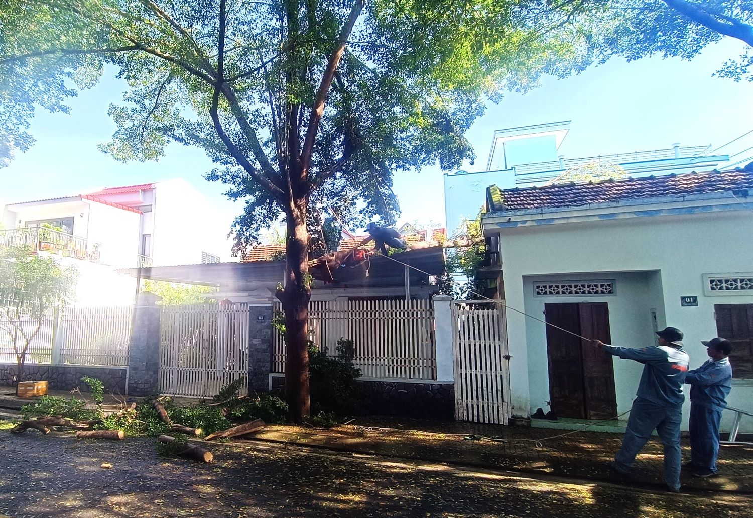 ឃុំវ៉ាន់នីញ បន្តដោះស្រាយដើមឈើរលំនៅព្រឹកថ្ងៃទី៧ វិច្ឆិកា ។