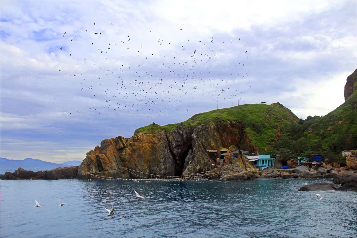 אי קן ציפורים של חברת קן חאן הואה סלנגנס. צילום: YSKH. Một đảo yến của Công ty Yến sào Khánh Hòa. Ảnh: YSKH.