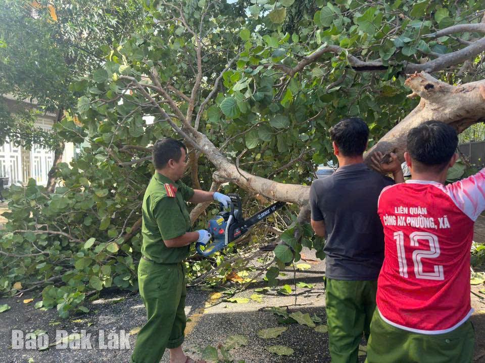 ប៉ូលីសវួដ Tuy Hoa បានឈូសឆាយដើមឈើដែលដួលរលំដោយព្យុះនៅលើផ្លូវក្នុងតំបន់។