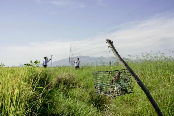 ដំណោះស្រាយដែលបានស្នើឡើងដើម្បីការពារចំនួនប្រជាជនសំបុកបក្សី និងអភិវឌ្ឍឧស្សាហកម្មសំបុកបក្សី - រូបថត ៣. Đề xuất giải pháp bảo vệ quần thể chim yến, phát triển nghề yến sào- Ảnh 3.