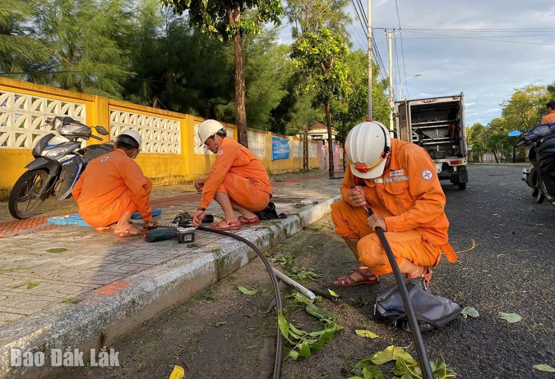 Працівники електроенергетичної компанії Дак Лак ремонтують лінії електропередач у районі Туй Хоа.