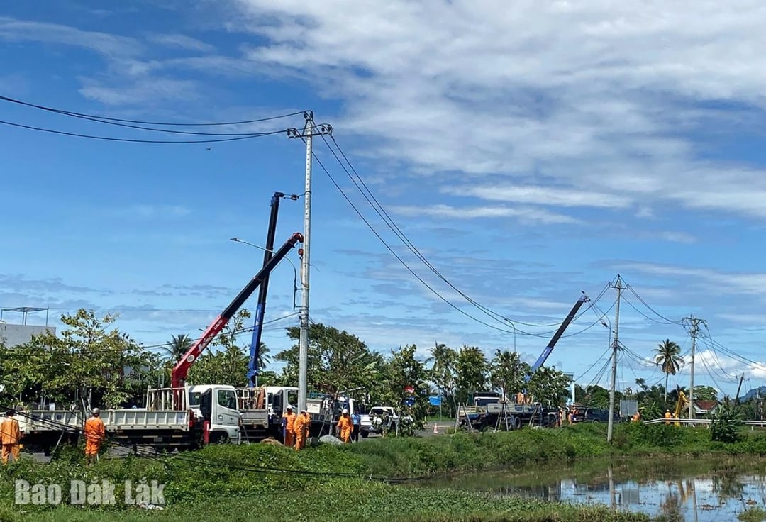 Працівники електроенергетичної компанії Дак Лак ремонтують лінії електропередач у районі Донг Хоа.