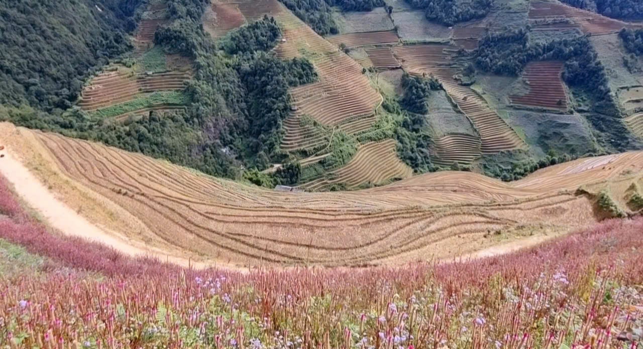 Lạc lối ở 'Đồi mâm xôi'  - Ảnh 1.