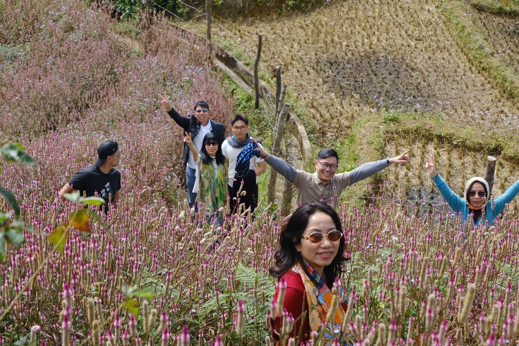 Lạc lối ở 'Đồi mâm xôi'  - Ảnh 2.