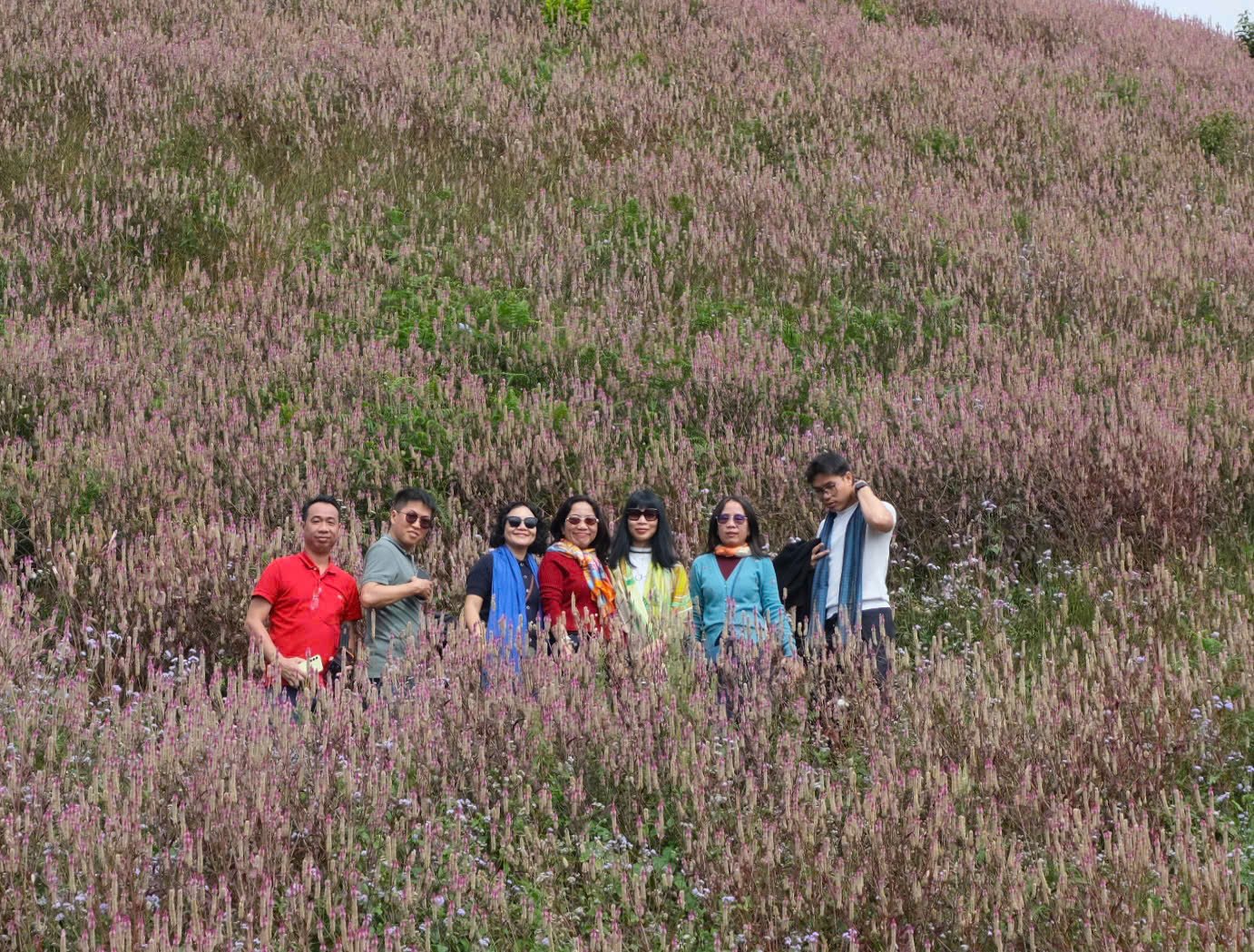 Lạc lối ở 'Đồi mâm xôi'  - Ảnh 3.