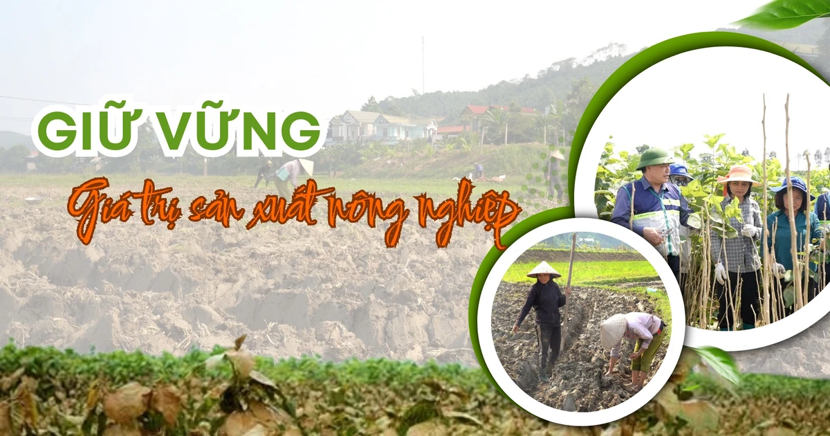 Giữ vững giá trị sản xuất nông nghiệp