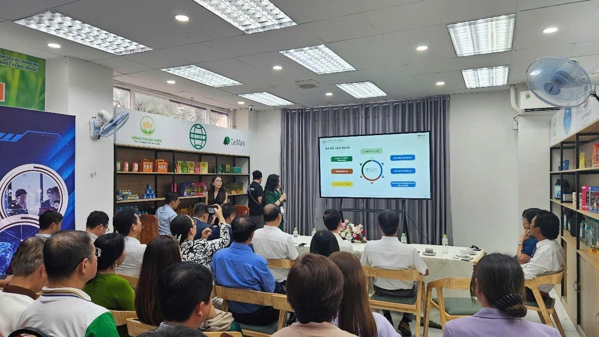 Sự kiện tập trung phân tích xu hướng thị trường, các rào cản kỹ thuật cũng như giải pháp nâng cao năng lực cạnh tranh cho doanh nghiệp Việt. Ảnh: Đình Du.