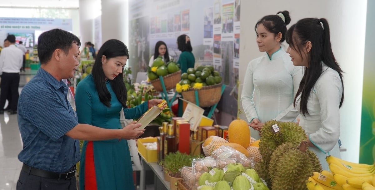 Để xuất khẩu bền vững, doanh nghiệp cần đầu tư vào hệ thống quản lý chất lượng đạt chuẩn GlobalGAP, HACCP, JAS.... Ảnh: Trần Phi.