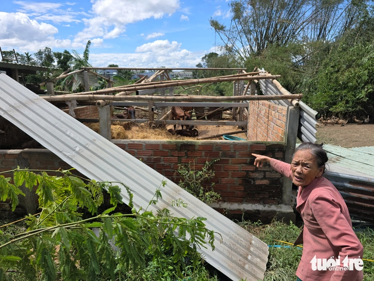 칼매기 폭풍으로 지붕이 없는 집들 - 사진 3. Trong những ngôi nhà không còn mái vì bão Kalmaegi - Ảnh 3.