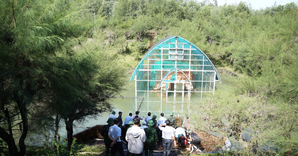 Tháp Chăm ở Huế ngập nhiều ngày, lãnh đạo thành phố phê bình chính quyền địa phương