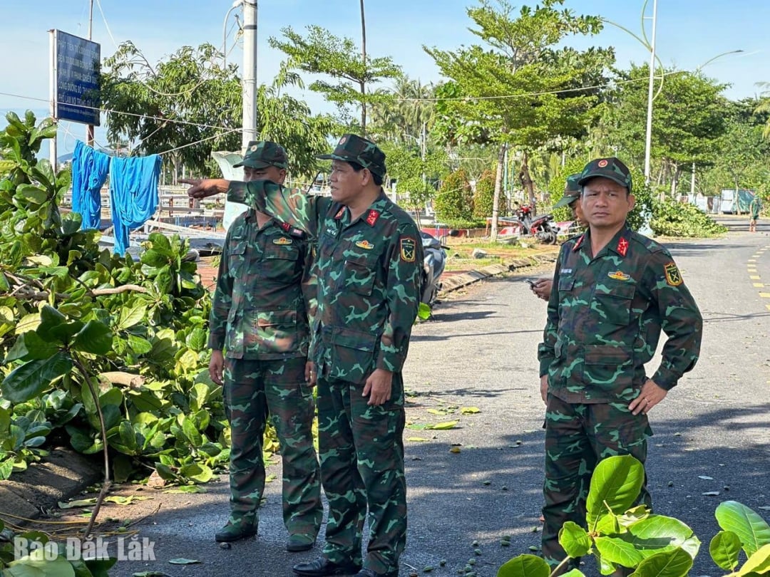 Kolonel Nie Ta, Ahli Jawatankuasa Tetap Parti Wilayah, Komander Pemerintahan Tentera Wilayah dan pegawai lain