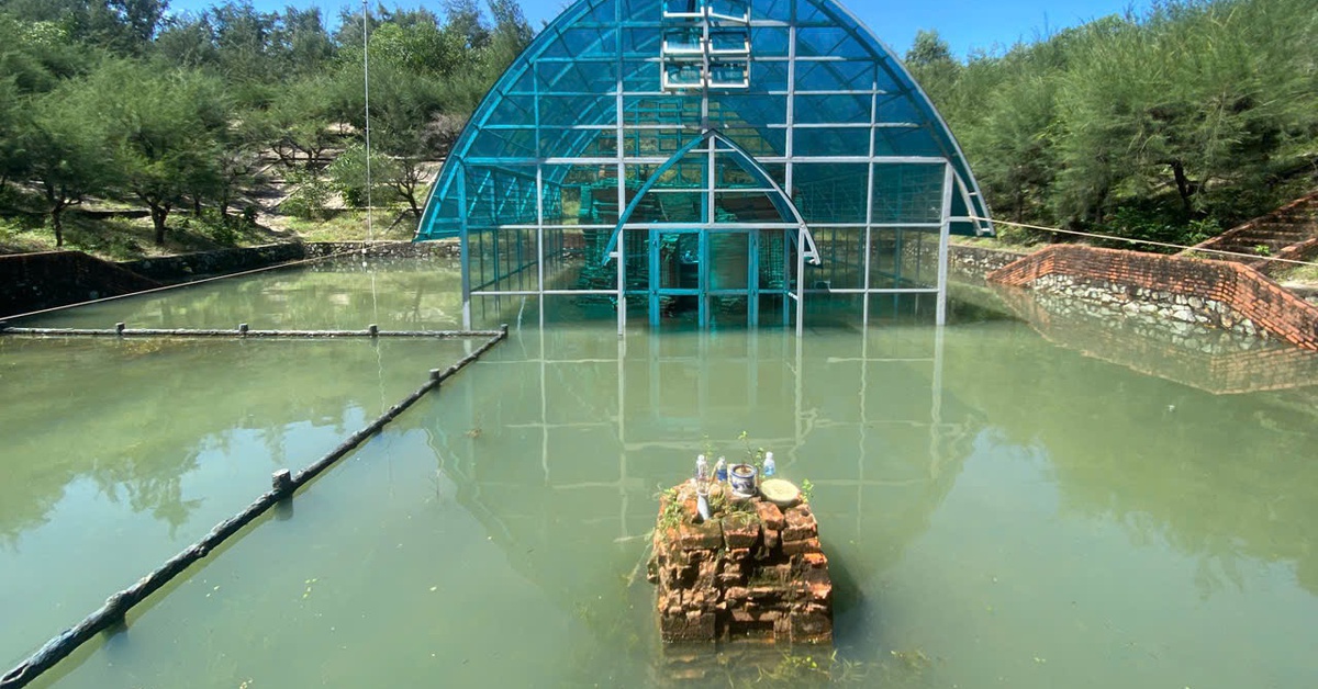 Tháp Chăm cổ nghìn năm tuổi từng lập kỷ lục thế giới bị ngập lụt nặng