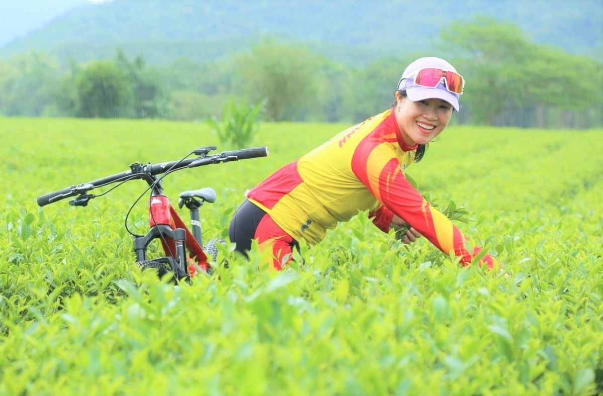 ຕົ້ນຊາແມ່ນໜຶ່ງໃນບັນດາຜະລິດຕະພັນຕົ້ນຕໍທີ່ນຳມາເຊິ່ງມູນຄ່າເສດຖະກິດສູງໃຫ້ແກ່ປະຊາຊົນຢູ່ເຂດພູດອຍ. ພາບ: MTB Ha Tinh. Cây chè là một trong những sản phẩm chủ lực đem lại giá trị kinh tế cao cho người dân các xã miền núi. Ảnh: MTB Hà Tĩnh.