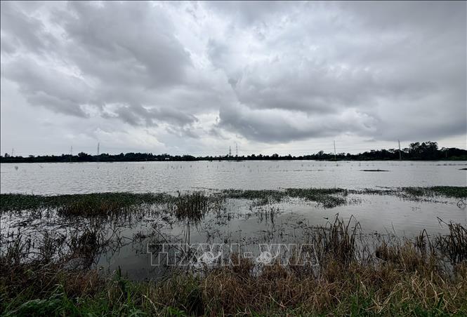 Podpis pod zdjęciem