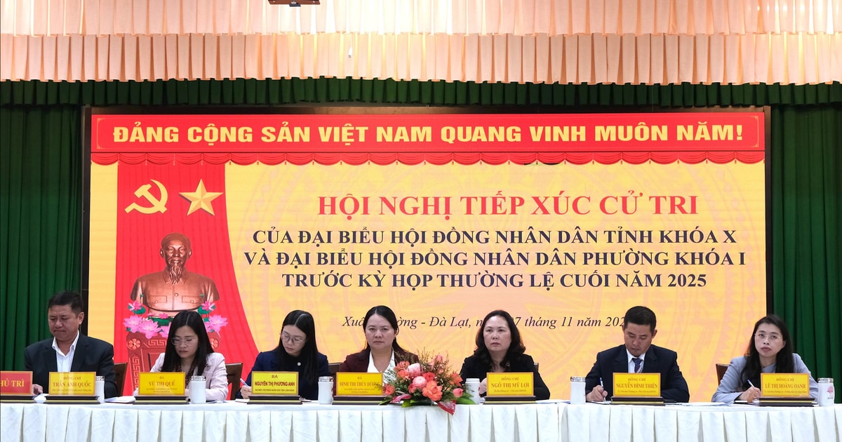 Cử tri phường Xuân Trường - Đà Lạt kiến nghị sớm khắc phục tình trạng sạt lở