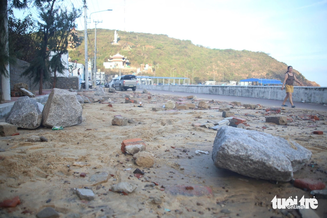 Nhơn Lý - Ảnh 3.