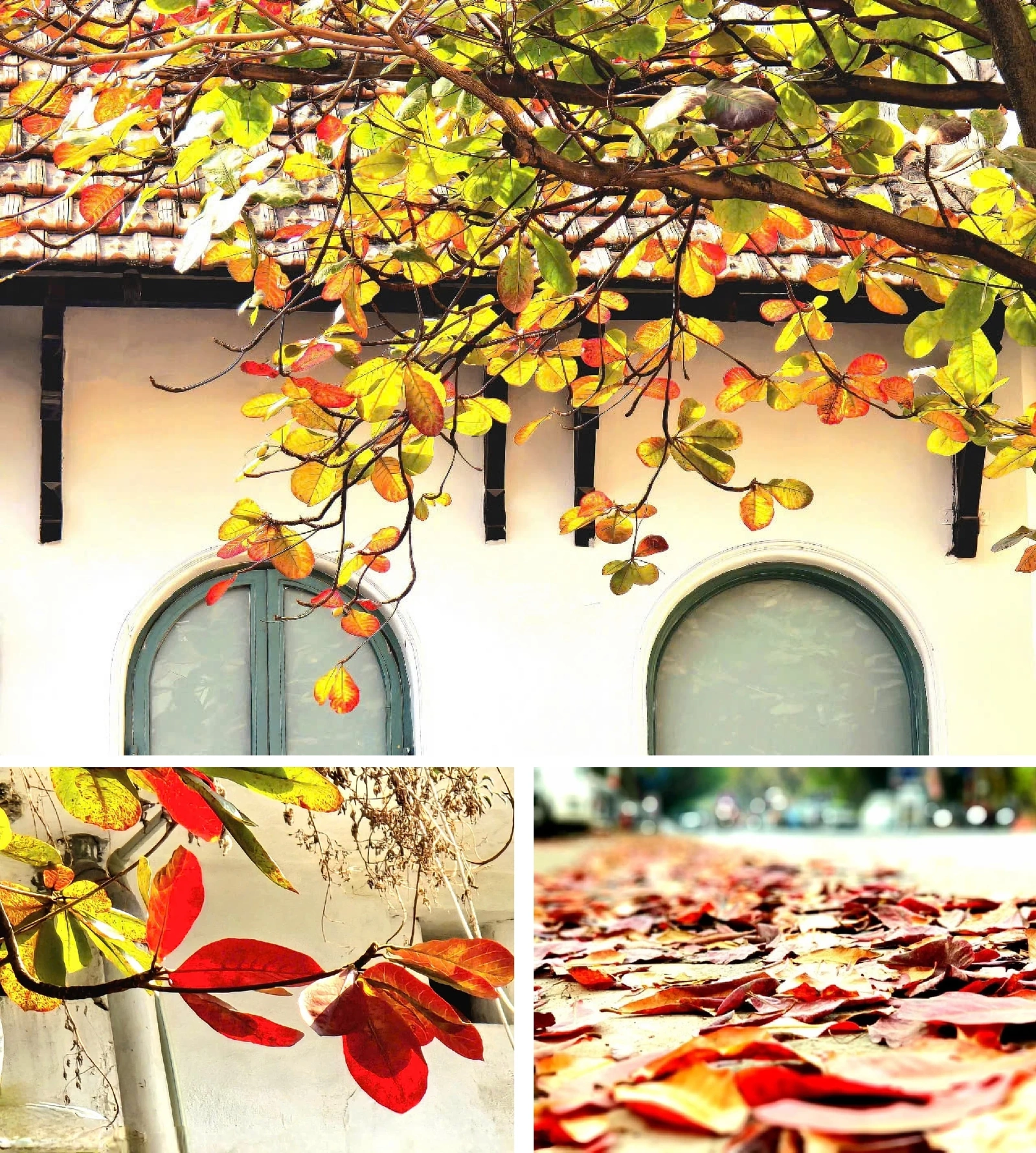 [E-magasin]: Vinteren kommer og kaller kjærligheten tilbake