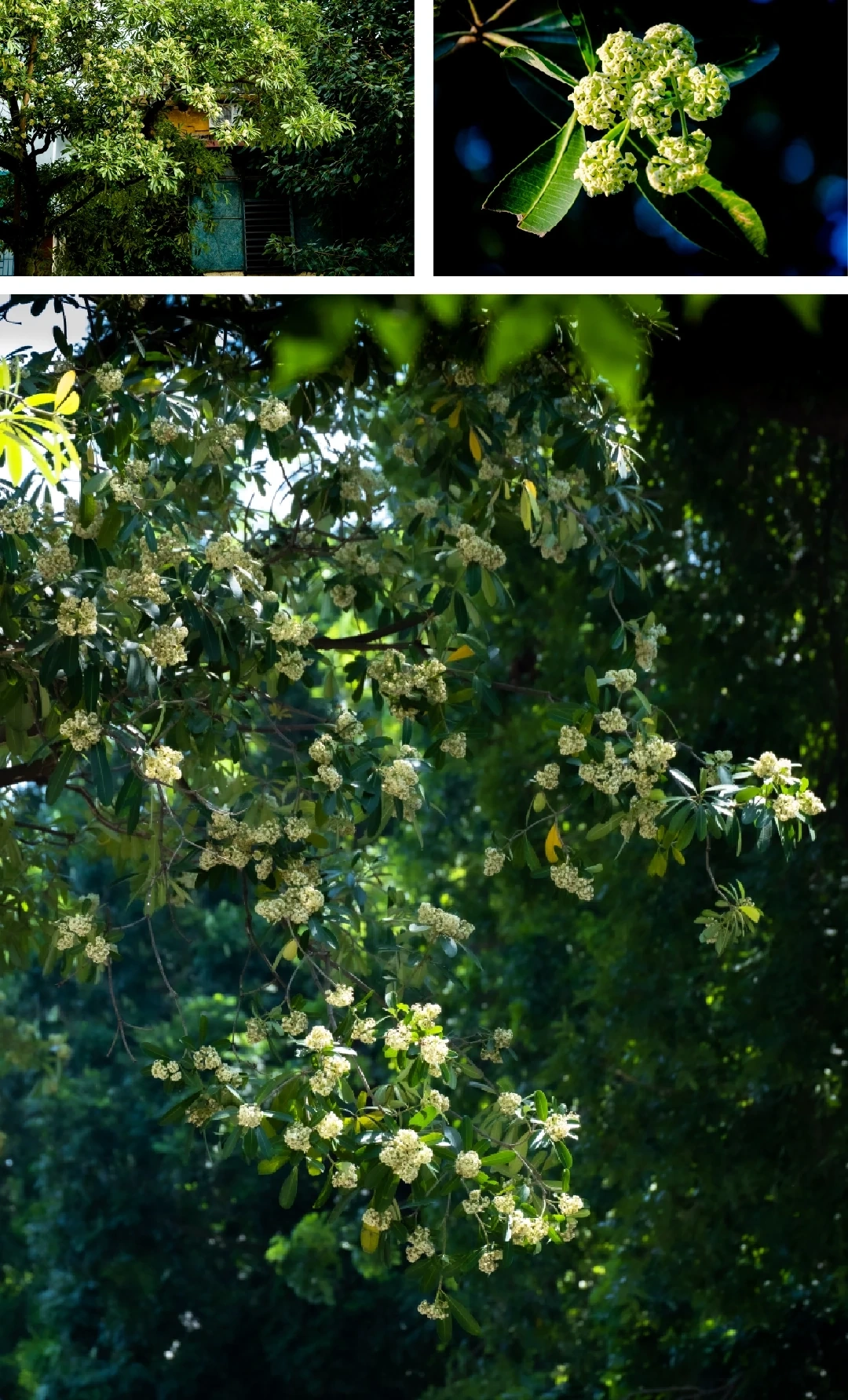 [E-magasin]: Vinteren kommer og kaller kjærligheten tilbake