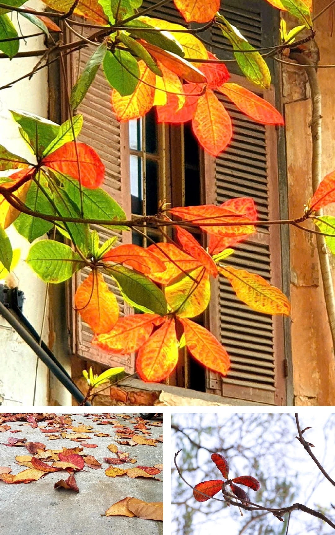 [E-magasin]: Vinteren kommer og kaller kjærligheten tilbake