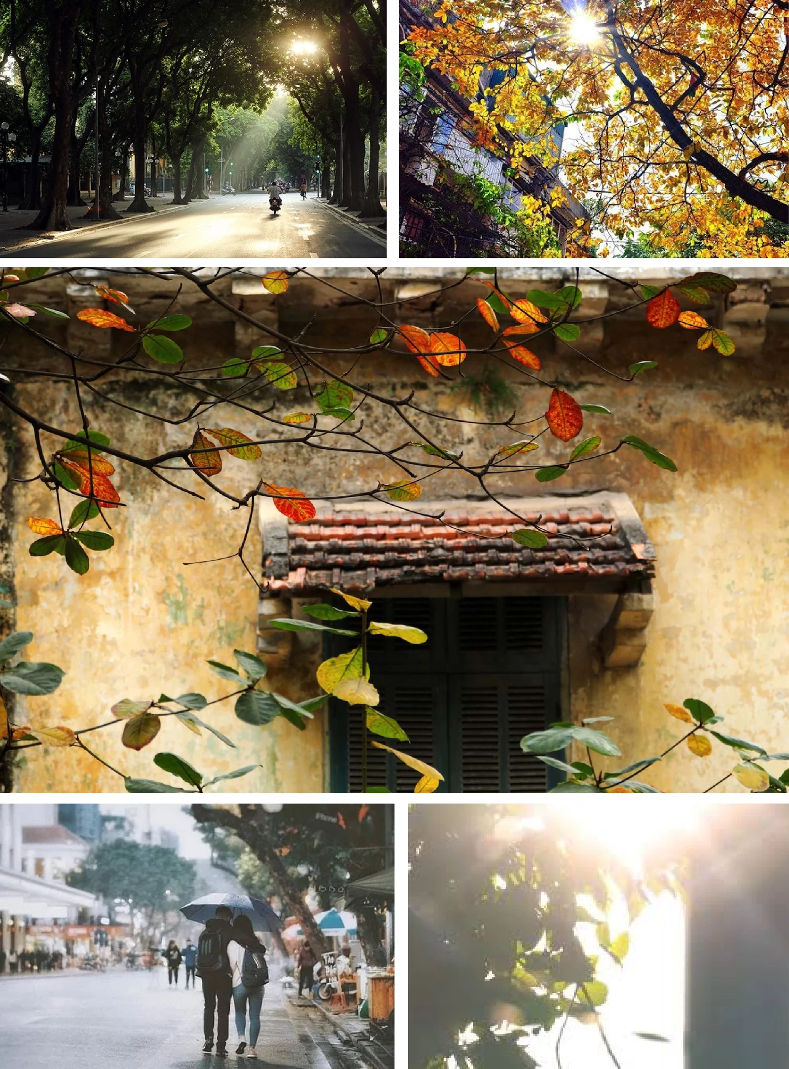 [E-magasin]: Vinteren kommer og kaller kjærligheten tilbake