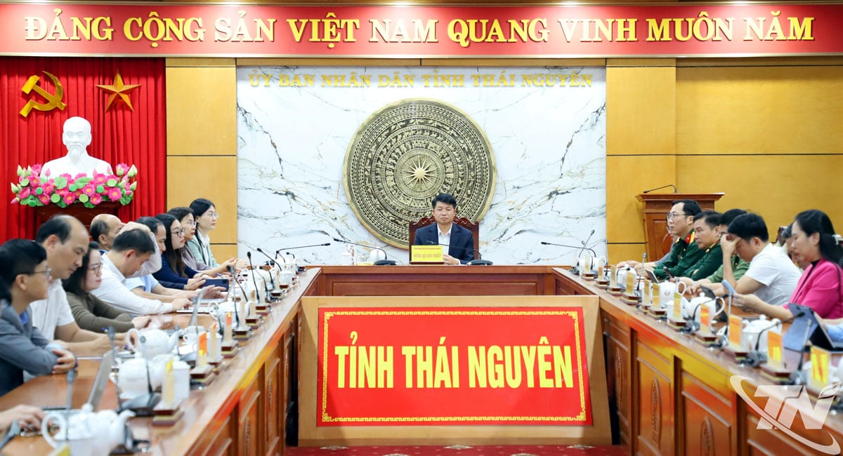 Delegații au participat la ceremonie desfășurată la punctul de legătură online din provincia Thai Nguyen.