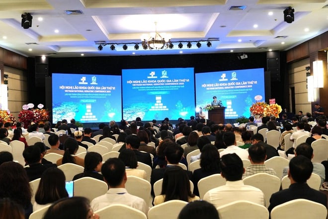 Utvikling av faglige retningslinjer for mer enn 20 grupper av syndromer og sykdommer spesifikke for eldre - Foto 4. Xây dựng hướng dẫn chuyên môn cho hơn 20 nhóm hội chứng và bệnh lý đặc trưng ở người cao tuổi- Ảnh 4.