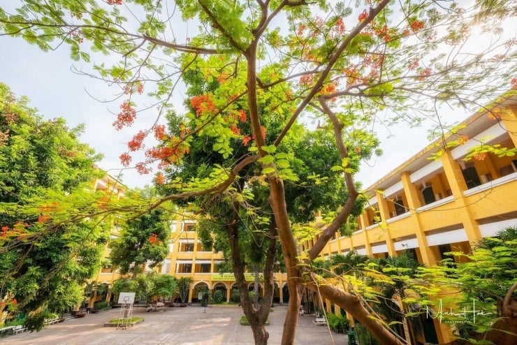 Kongelige poinciana-blomster står i full blomst og pryder campusen til Trung Vuong videregående skole. Foto: Minh Hoa.