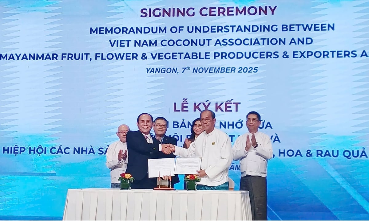សមាគមដូងវៀតណាមក៏បានចុះហត្ថលេខាលើកិច្ចព្រមព្រៀងសហប្រតិបត្តិការជាមួយសមាគមអ្នកផលិត និងនាំចេញផ្លែឈើ ផ្កា និងបន្លែមីយ៉ាន់ម៉ា (MFVP) ផងដែរ។ រូបថត៖ D.K. Hiệp hội Dừa Việt Nam cũng ký kết hợp tác với Hiệp hội sản xuất và xuất khẩu trái cây, hoa và rau quả Myanmar (MFVP). Ảnh: Đ.K.