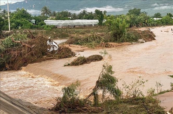 写真のキャプション