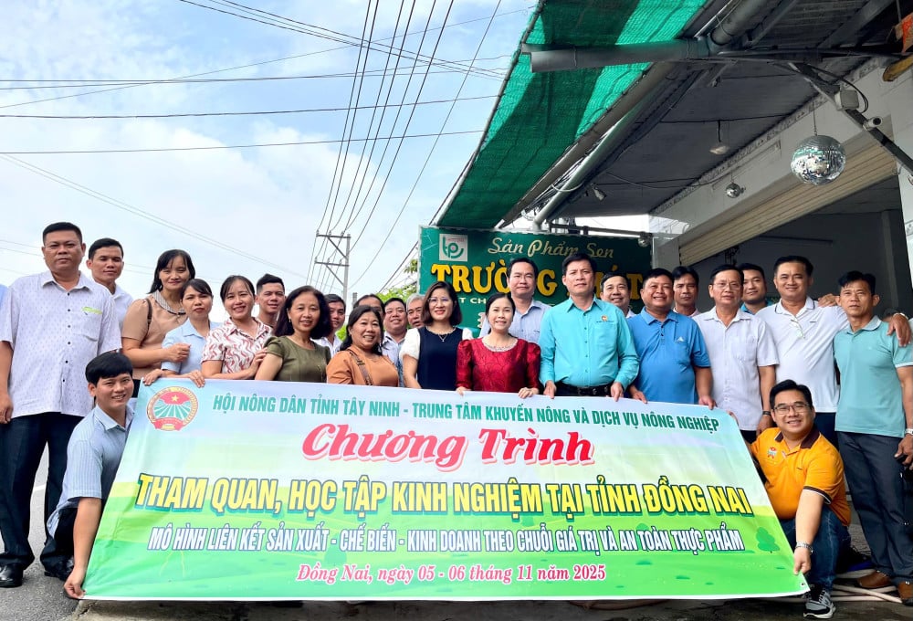 ताई निन्ह प्रांत के कृषक संघ के प्रतिनिधिमंडल ने डोंग नाई प्रांत में विशिष्ट सहकारी समितियों के अनुभवों से सीखा।